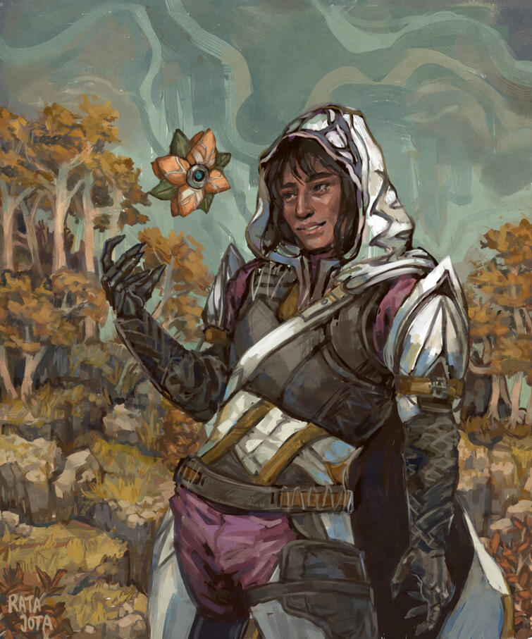 Destiny commission for @theknightartorias