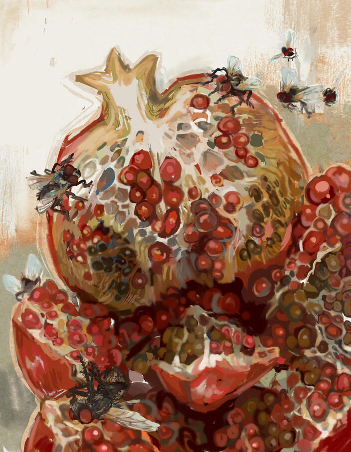 Cover for a book